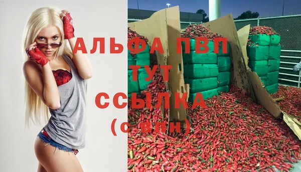 spice Армянск