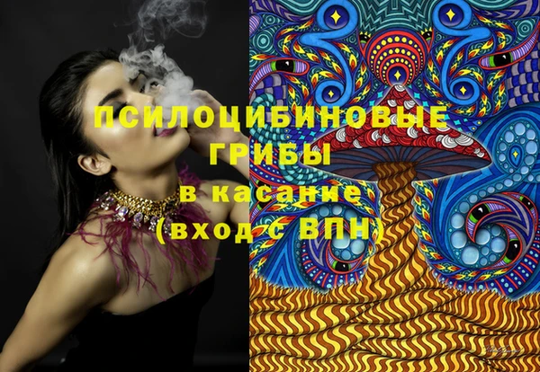 стаф Алексин