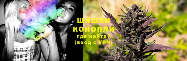 прущая мука Арсеньев