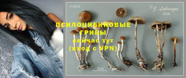 прущая мука Арсеньев